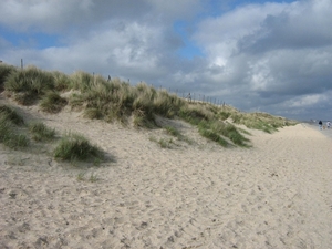 De Panne 2013 145