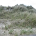 De Panne 2013 149