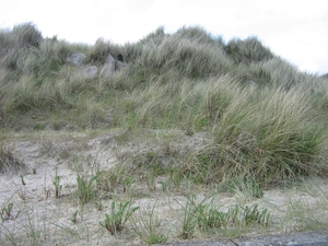 De Panne 2013 149