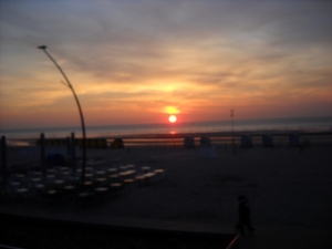 De Panne 2 048
