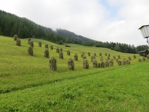 aviat wandelweek neustift 2013 038