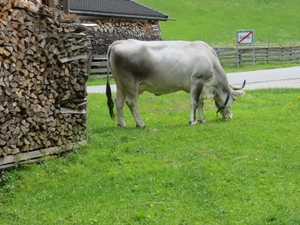 aviat wandelweek neustift 2013 177