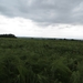 2013-06-24 S'Gravenvoeren 049