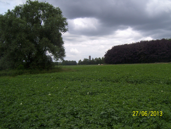 Wandeling naar Vrijbroekpark & Hombeek - 27 juni 2013