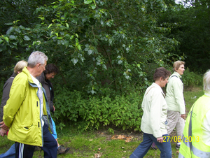 Wandeling naar Vrijbroekpark & Hombeek - 27 juni 2013