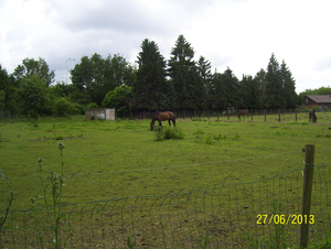 Wandeling naar Vrijbroekpark & Hombeek - 27 juni 2013