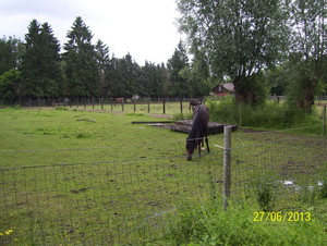 Wandeling naar Vrijbroekpark & Hombeek - 27 juni 2013