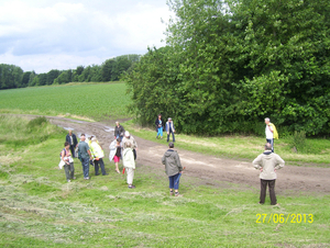 Wandeling naar Vrijbroekpark & Hombeek - 27 juni 2013