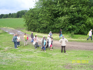 Wandeling naar Vrijbroekpark & Hombeek - 27 juni 2013