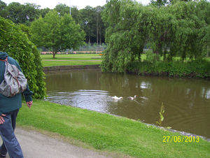 Wandeling naar Vrijbroekpark & Hombeek - 27 juni 2013