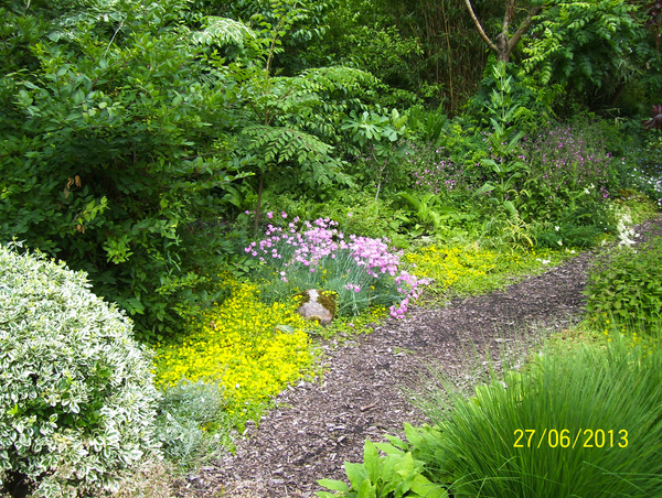 Wandeling naar Vrijbroekpark & Hombeek - 27 juni 2013