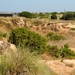 AAC_8612