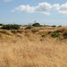 AAC_9091