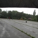 2013-06-21 Torhout 054