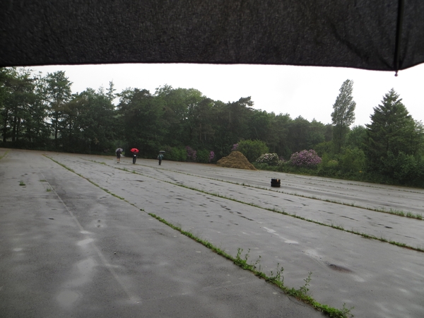 2013-06-21 Torhout 054