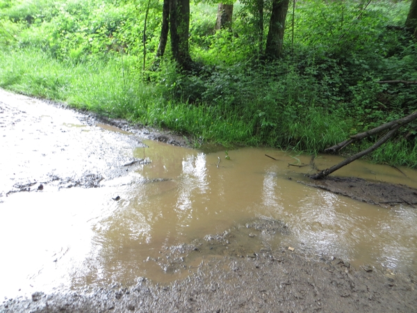 2013-06-25 Marche-en-Famenne 013