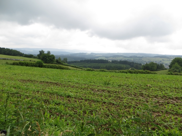 2013-06-25 Marche-en-Famenne 016