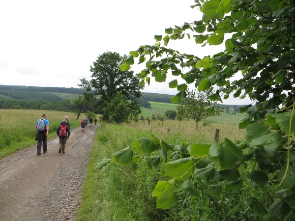 2013-06-25 Marche-en-Famenne 018