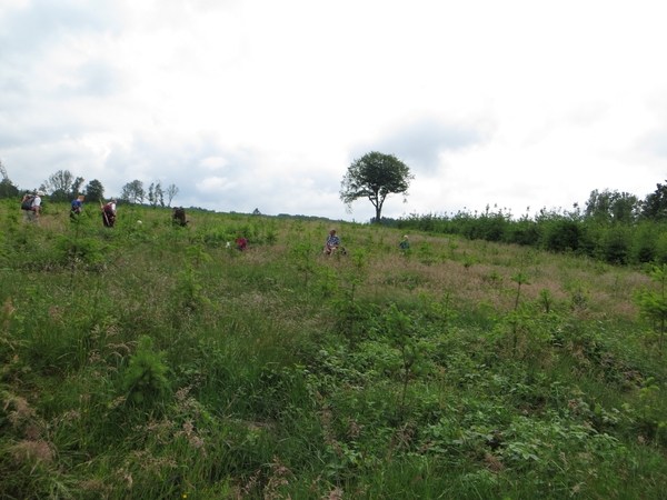 2013-06-25 Marche-en-Famenne 020