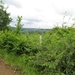 2013-06-25 Marche-en-Famenne 021