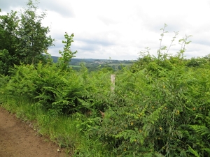 2013-06-25 Marche-en-Famenne 021