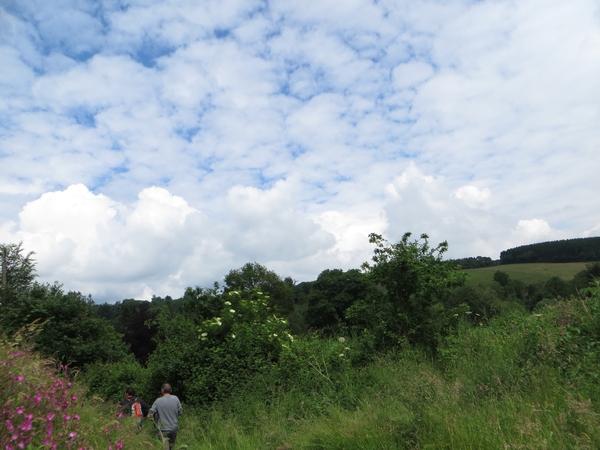 2013-06-25 Marche-en-Famenne 025