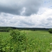 2013-06-25 Marche-en-Famenne 031