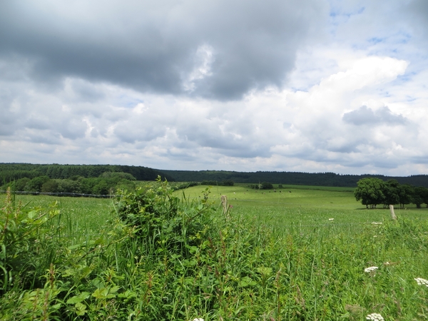 2013-06-25 Marche-en-Famenne 031