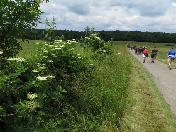 2013-06-25 Marche-en-Famenne 034