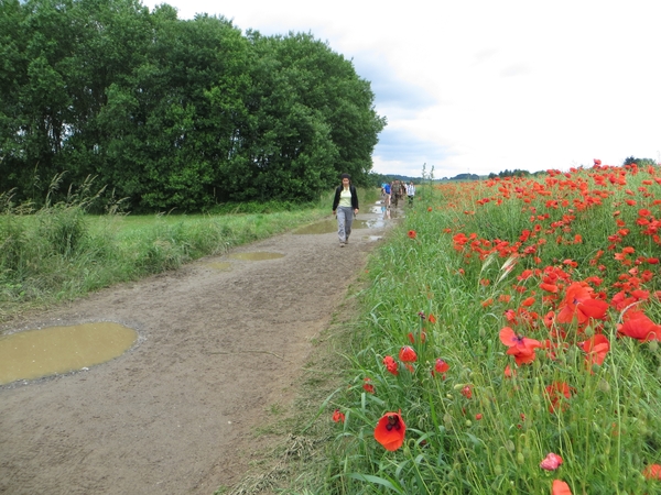 2013-06-25 Marche-en-Famenne 036