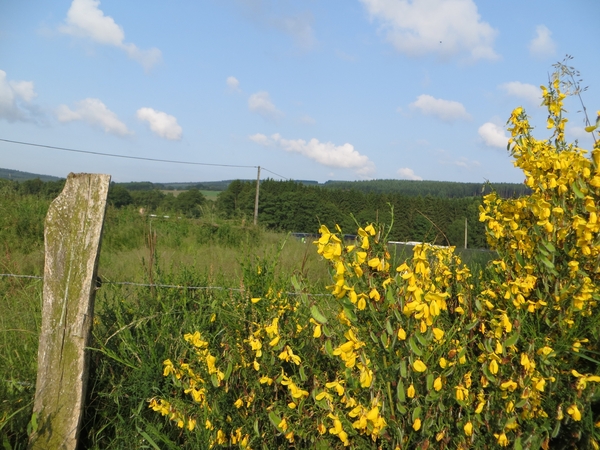 2013-06-26 Sainte-Ode 002