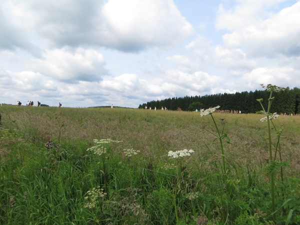 2013-06-26 Sainte-Ode 012