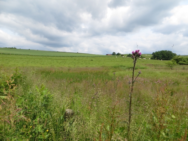 2013-06-26 Sainte-Ode 019