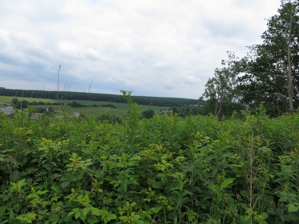 2013-06-26 Sainte-Ode 025