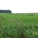 2013-06-27 Houffalize 006