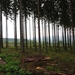2013-06-28 Vielsalm 002
