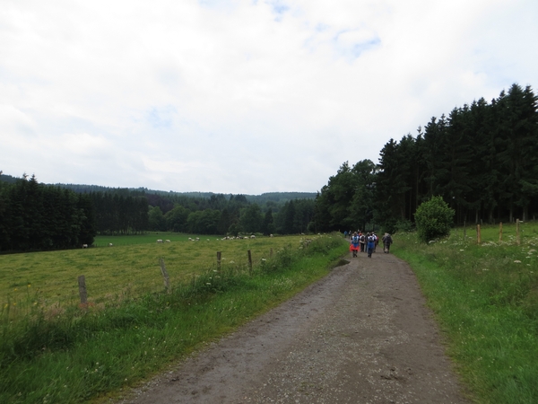 2013-06-28 Vielsalm 012