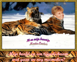 Week-5 Tijger-ML