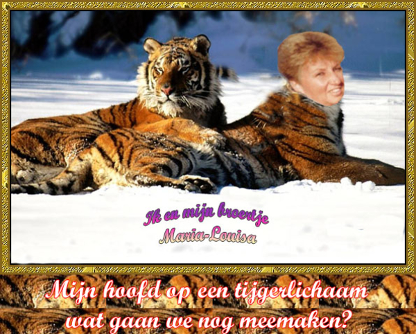 Week-5 Tijger-ML