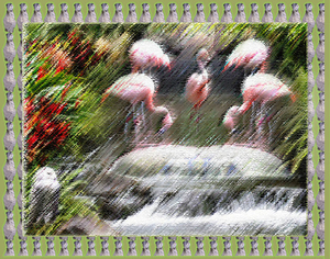 Week-5 collage met filter-1