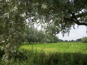 54-Natuurgebied Kalkense Meersen