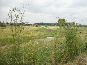 71-Natuurgebied Bergenmeersen in Uitbergen