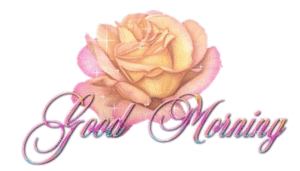 06goodmorningrose