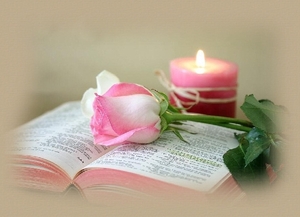 bible1pic