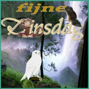dinsdjy4