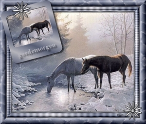 paardenwinter16%2D01%2D07