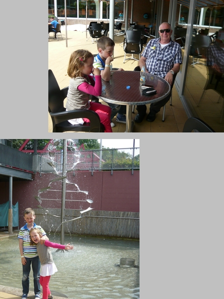 collage4