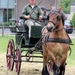 IMG_2167