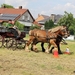 IMG_2577