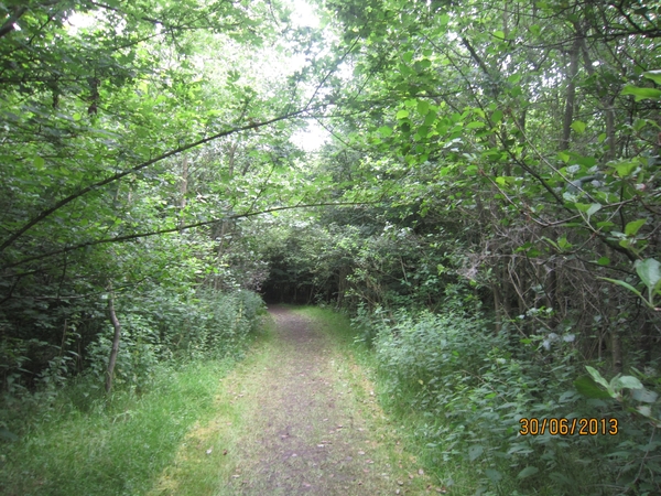 Schoten 30-06-2013 019